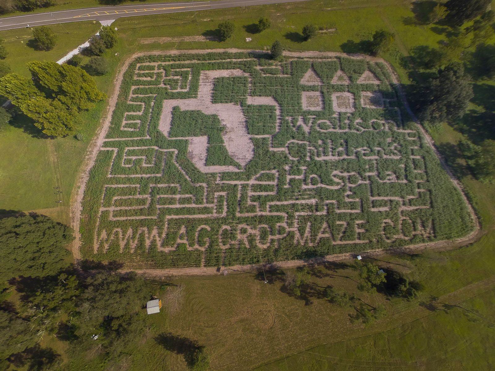 Massive Corn Maze In Jacksonville